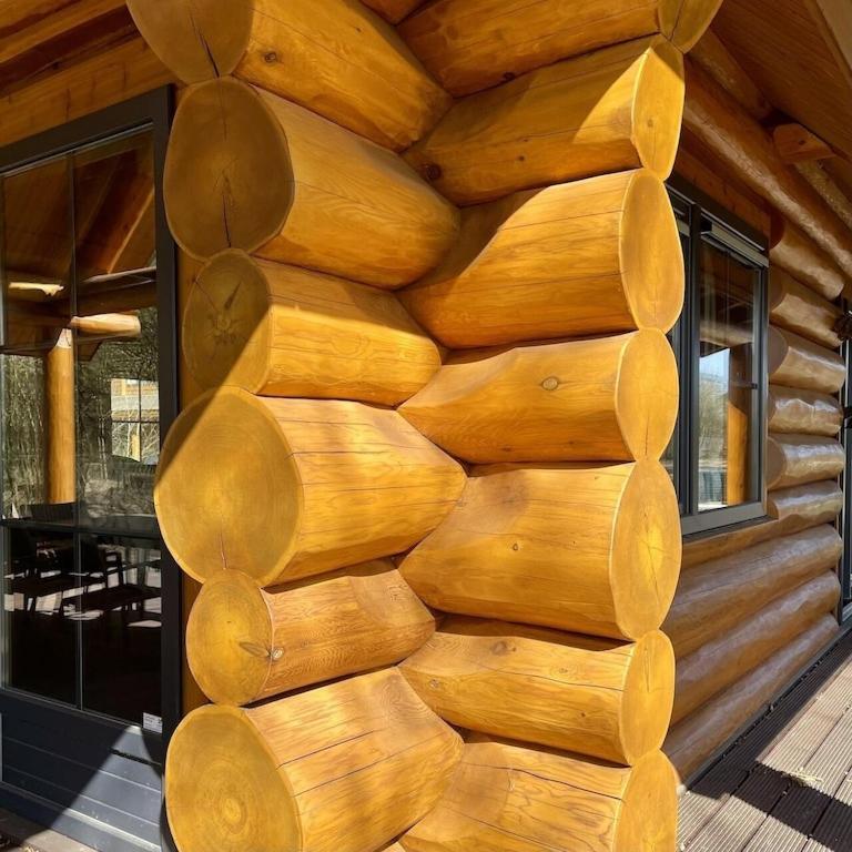 Unieke Houten Villa Met Sauna In Twente - 5P Den Ham Ngoại thất bức ảnh